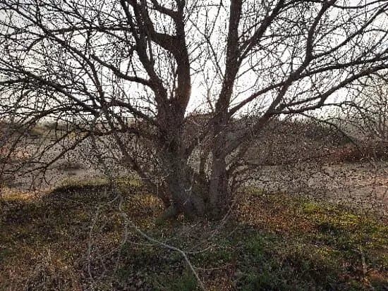 Duin De Hoge Blekker