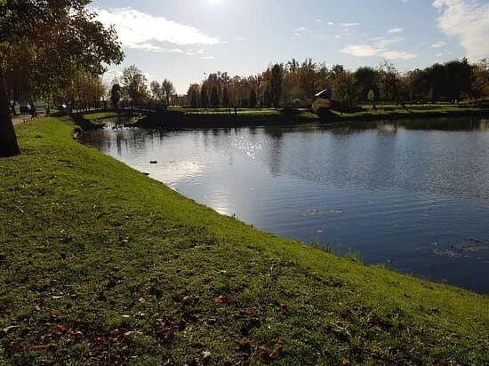 Park Tysiaclecia