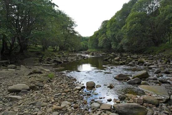 Allen Banks and Staward Gorge
