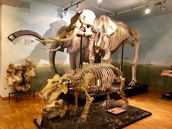 Museo Civico di Storia Naturale