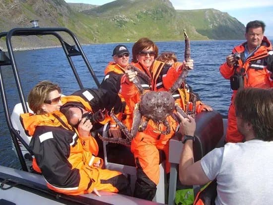 Destination 71 degrees north - Day Tours