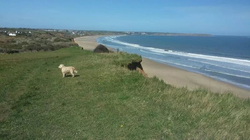 Sea View Mews, Reighton near Filey - a rural cottage with uninterrupted sea view