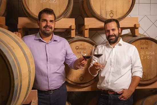 Wine Babos