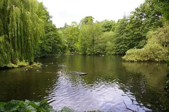 Waterlow Park