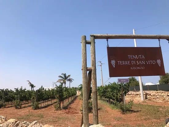 Terre di San Vito