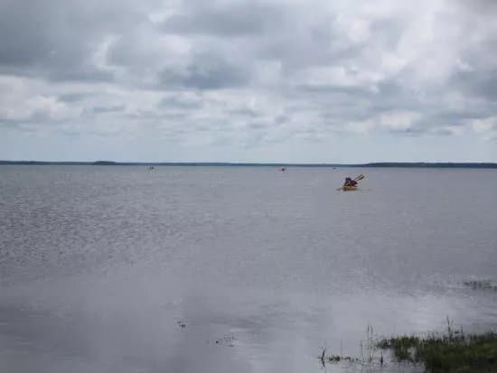 Vilsandi National Park