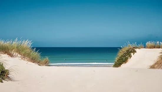 Special Surf 78