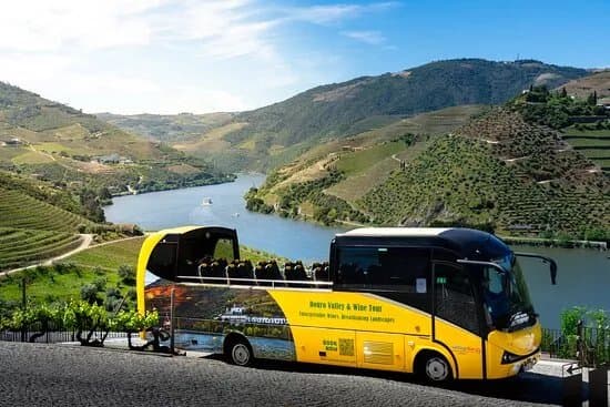 Yellow Bus Tours