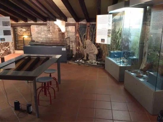 Museo Archeologico Della Valle Sabbia