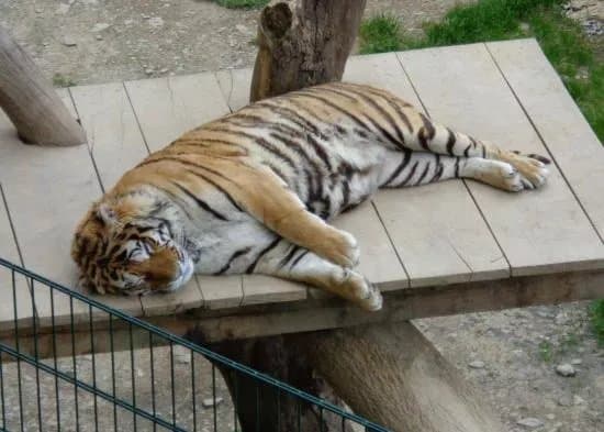Bouillon Wildlife Park