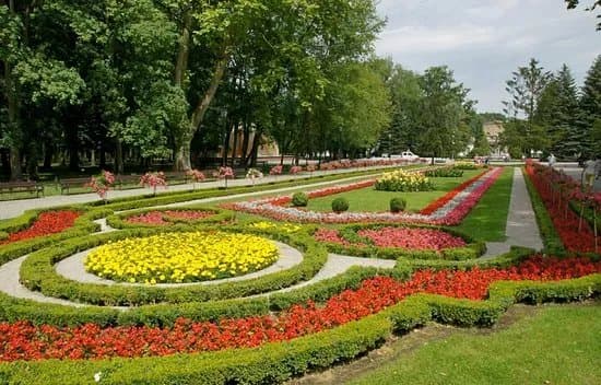 Solankowy Park