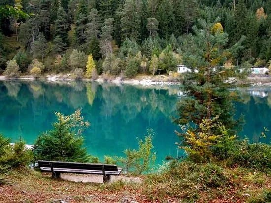 Urisee
