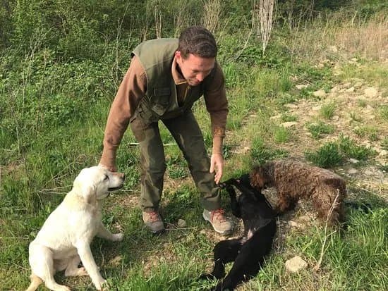 Truffle Hunting