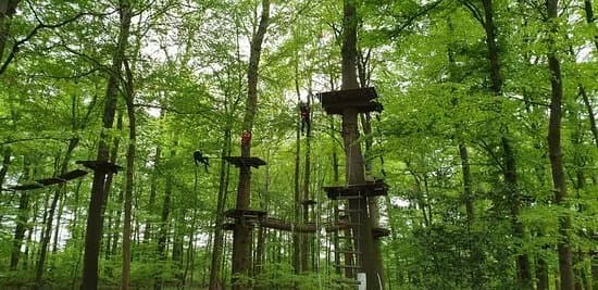 Hochseilgarten Hasloh