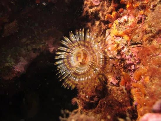 Hidroespaco