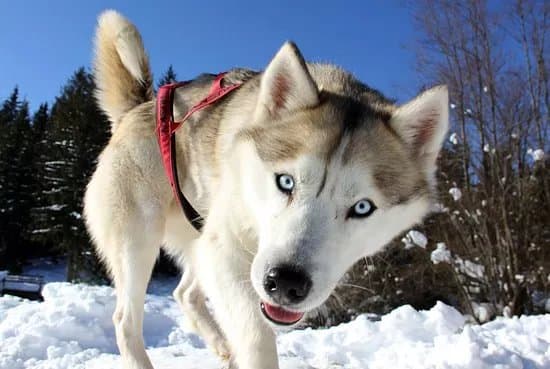 Adventoura Slovakia - Tours and adventures in Slovakia