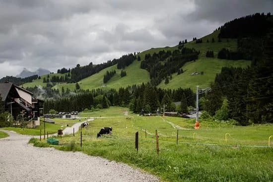 Fromagerie d'Alpage de Moleson