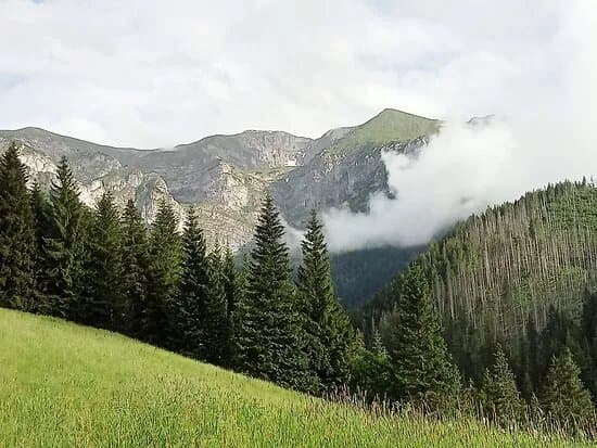 Przyslop Mietusi