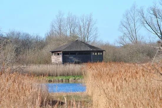 RSPB Fowlmere Nature Reserve