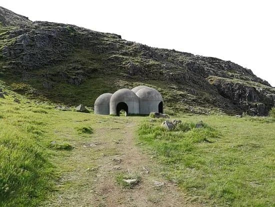 Tvisongur