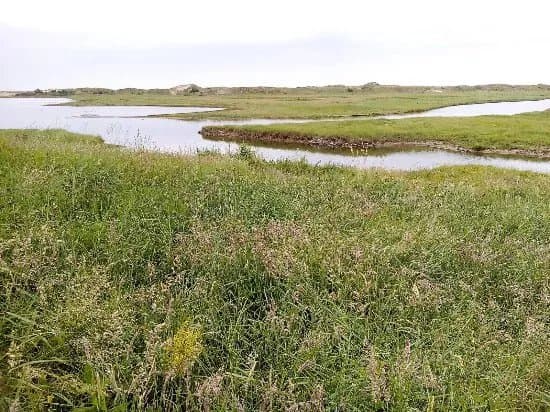 Het Zwin Natuur Park
