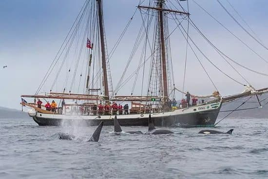 North Sailing Norway