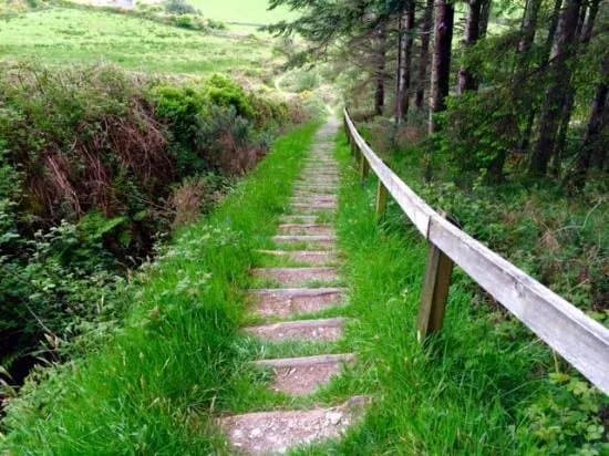 Carrigfadda Hill Walk