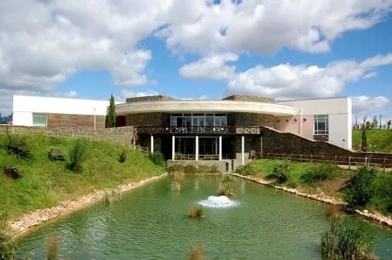 Centro Ciencia Viva Da Floresta