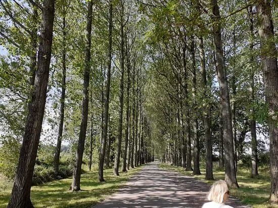 Umberslade Farm Park