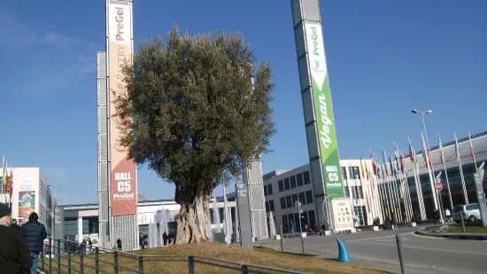 RiminiFiera