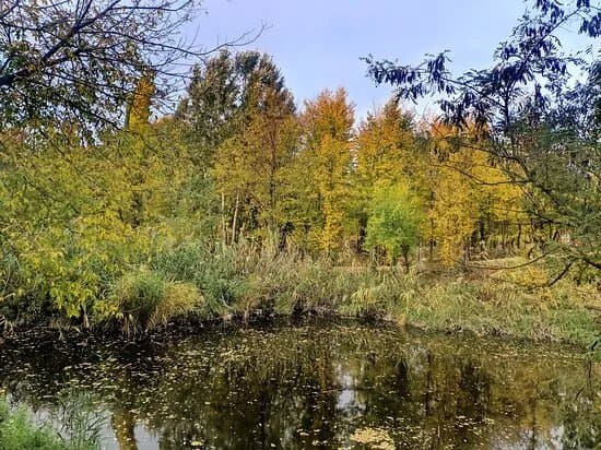 Parcul Sticlariei