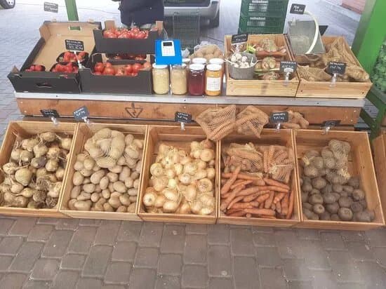 Bio Hub Bazar
