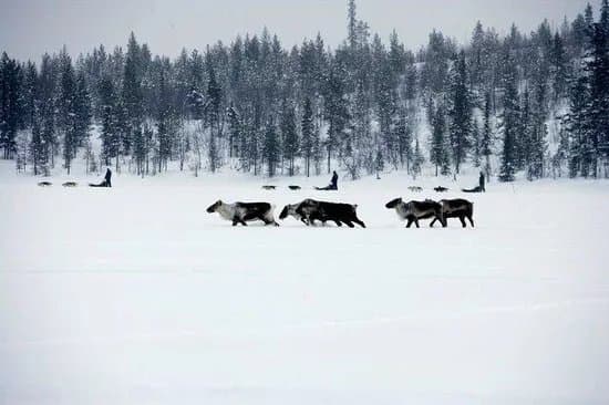 Active Lapland
