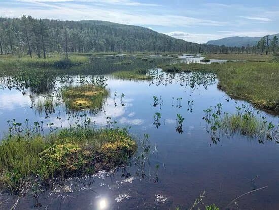 Anderdalen Nasjonalpark