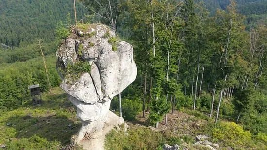 Zbynovsky budzogan