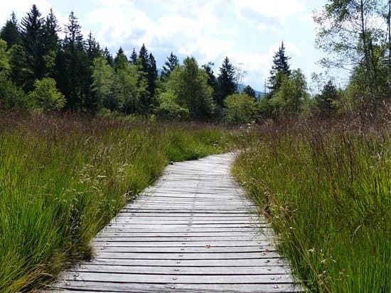 Reserve Naturelle du lac Luitel