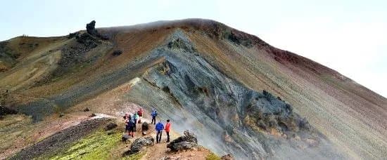 Trex Travel Experiences