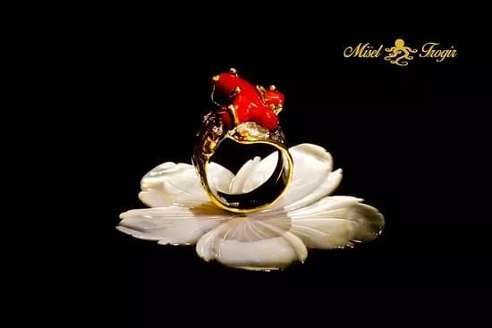 Jewlery/coral shop Misel