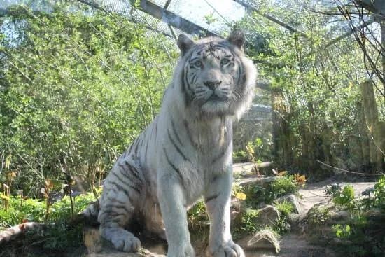 DierenPark Amersfoort