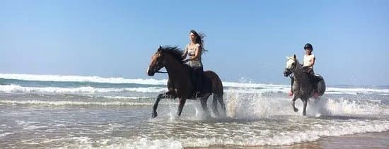 Horse Adventure Tours