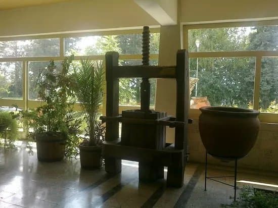 Murfatlar Winery
