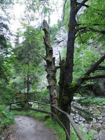 Bummelzug Wildschonau