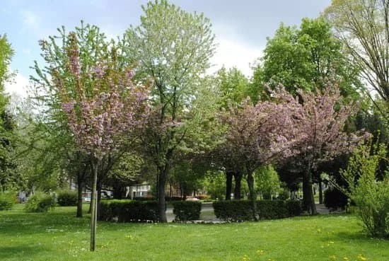 Giardini Reali - Musei Reali di Torino
