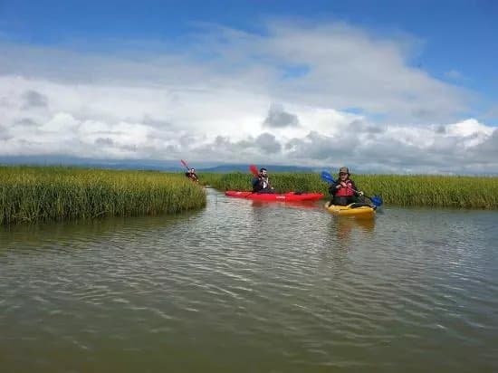 Kayakferdir