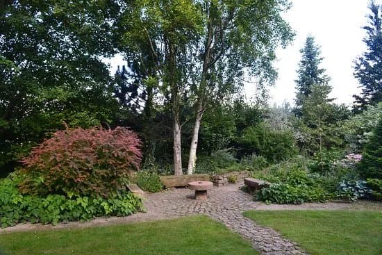 Jardin Remarquable