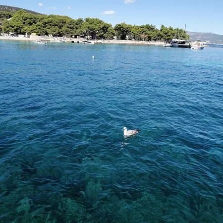 Kastela boat tour
