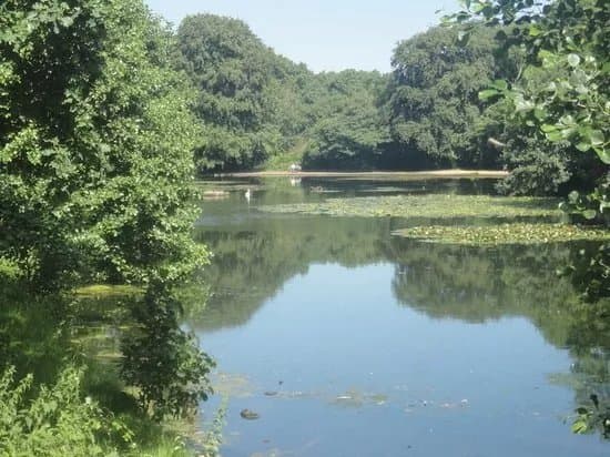 Wimbledon and Putney Commons