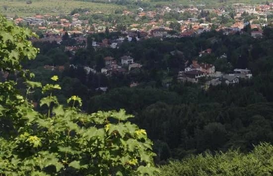 Boyana Village