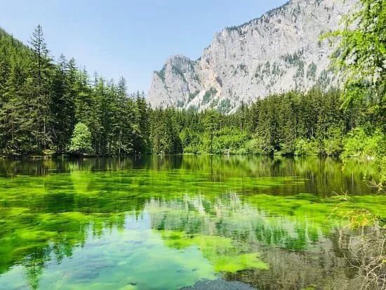 Gruner See