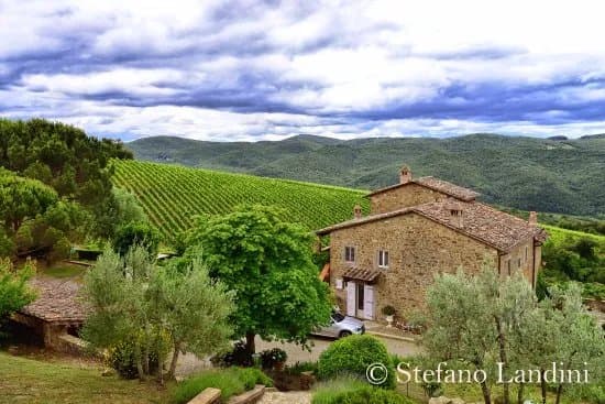 Fattoria di Montemaggio